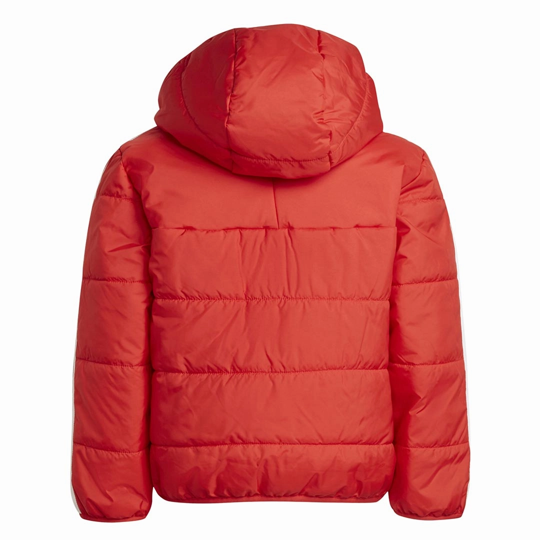 adidas - Kids' (Toddler & Junior) Adicolor Padded Jacket (HK2962)