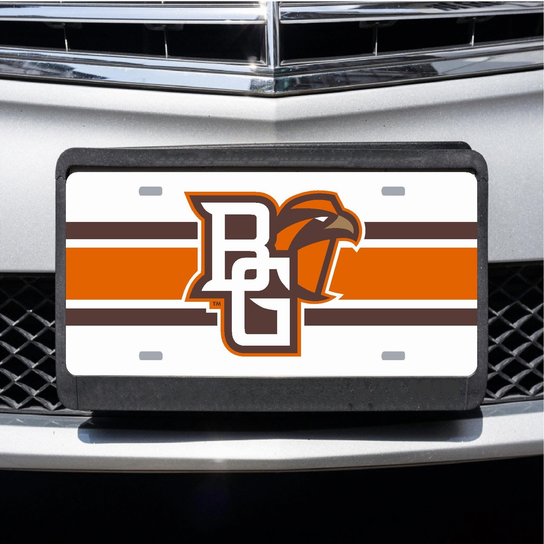 CDI Mascot Stripe License Plate Cover