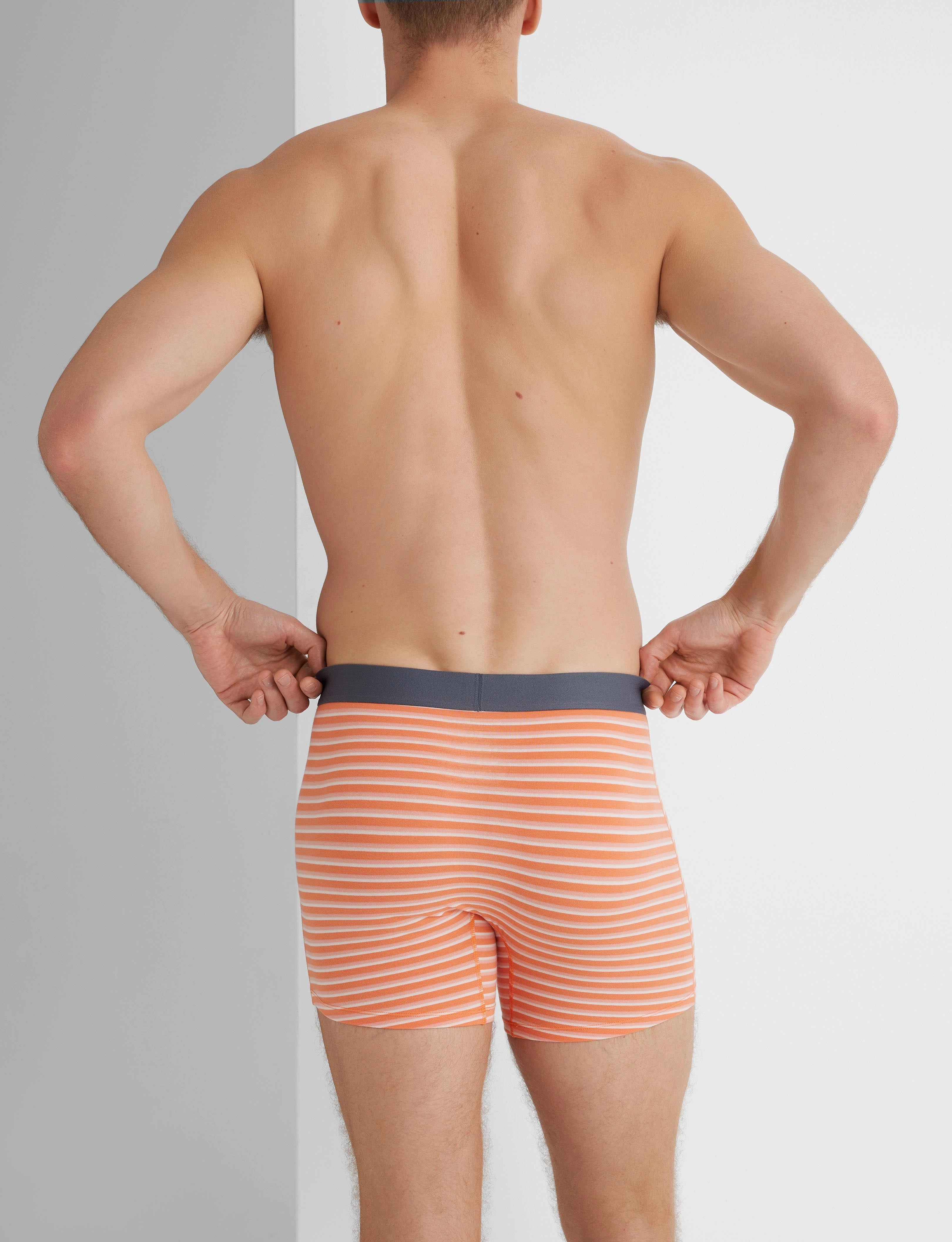 Cool Cotton Trunk 4 (6-Pack)