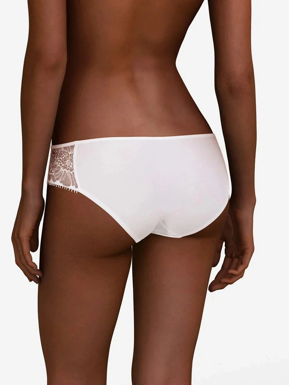 Day to Night Evolutive Brief
