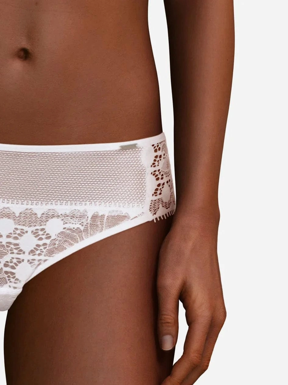 Day to Night Evolutive Brief