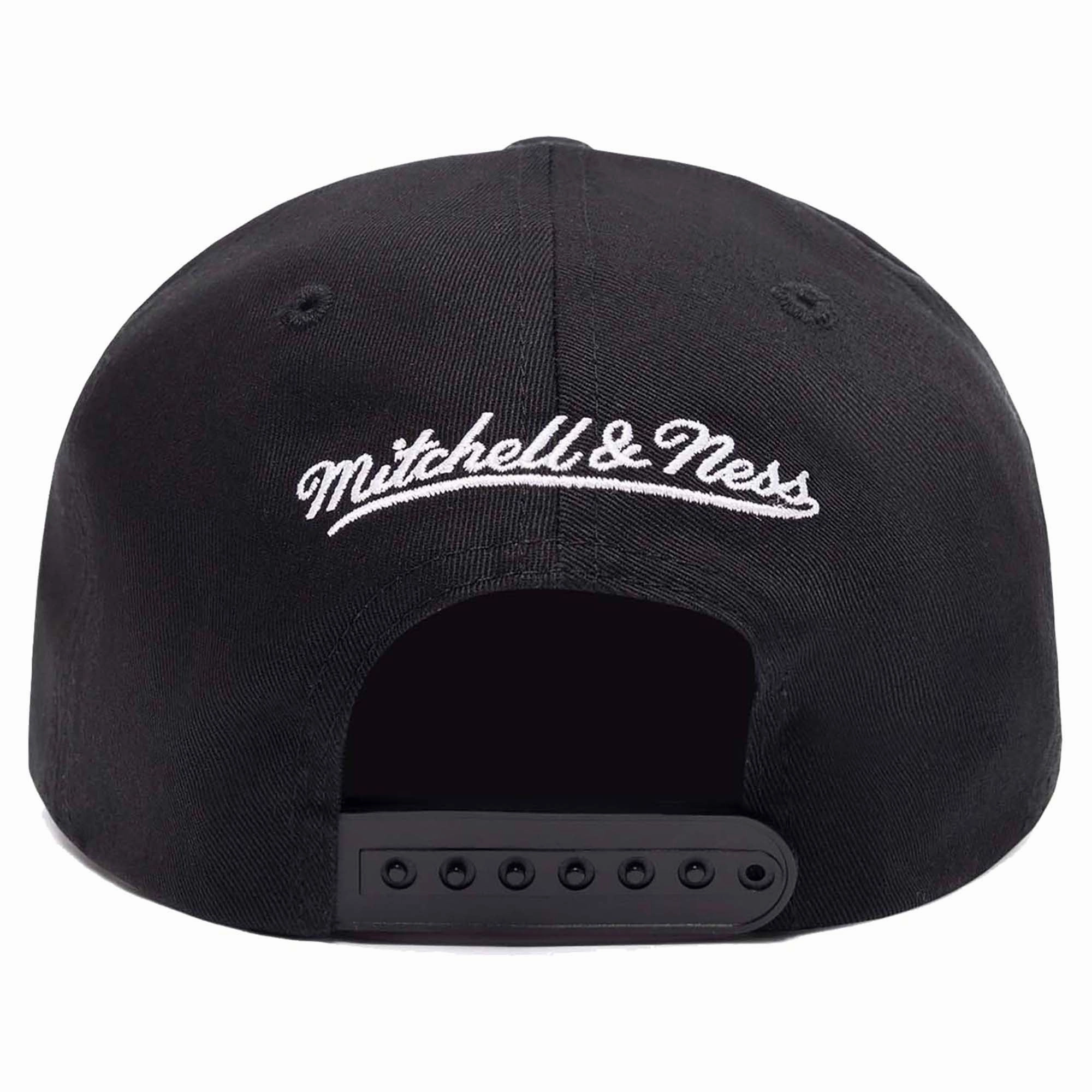 MVP NBA Charlotte Hornets Team Colour Logo Snapback Cap