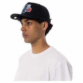 MVP NBA Charlotte Hornets Team Colour Logo Snapback Cap