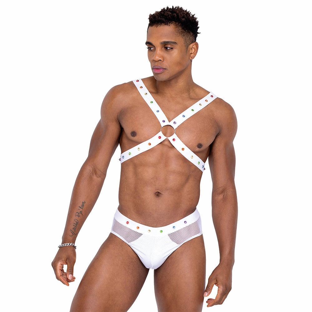 Roma Fishnet Mesh & Vinyl Rainbow Stud Pride Briefs
