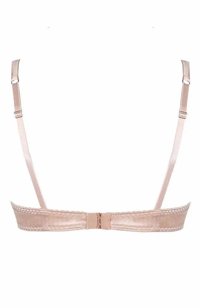 Signature Padded Plunge Bra