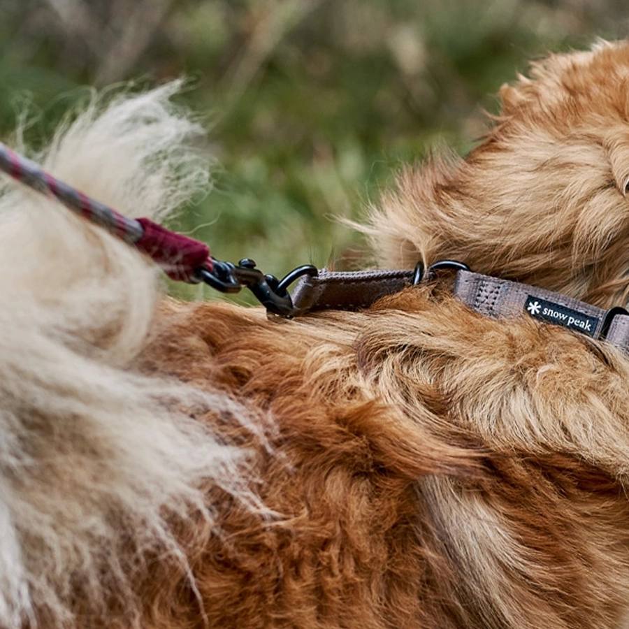 SP Rope Lead L Olive