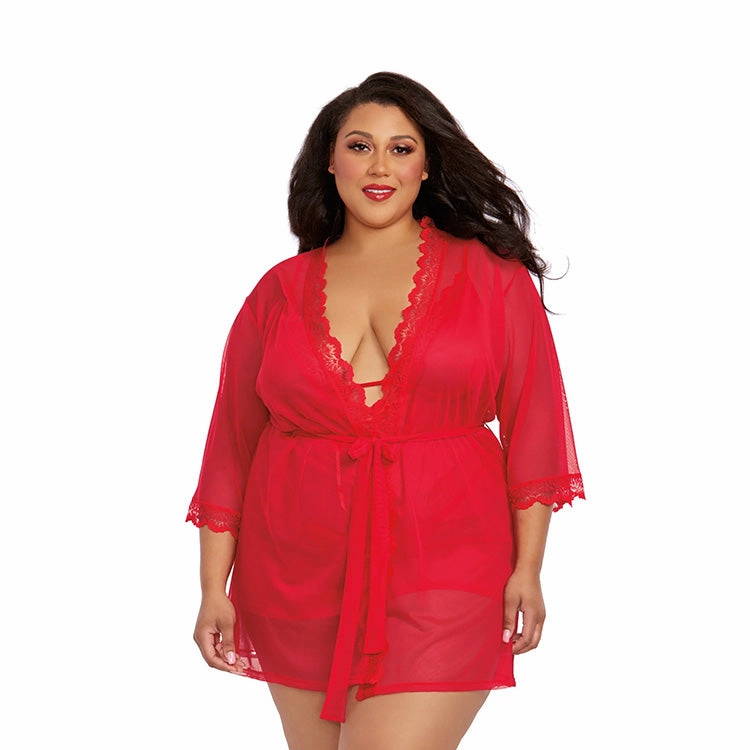 Stretch Mesh Chemise & Robe Set