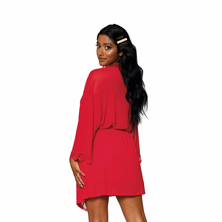 Stretch Mesh Chemise & Robe Set